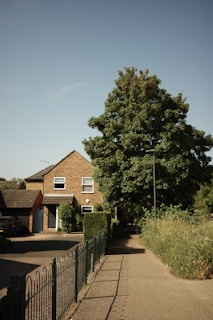 a brick house with a tree in front of it