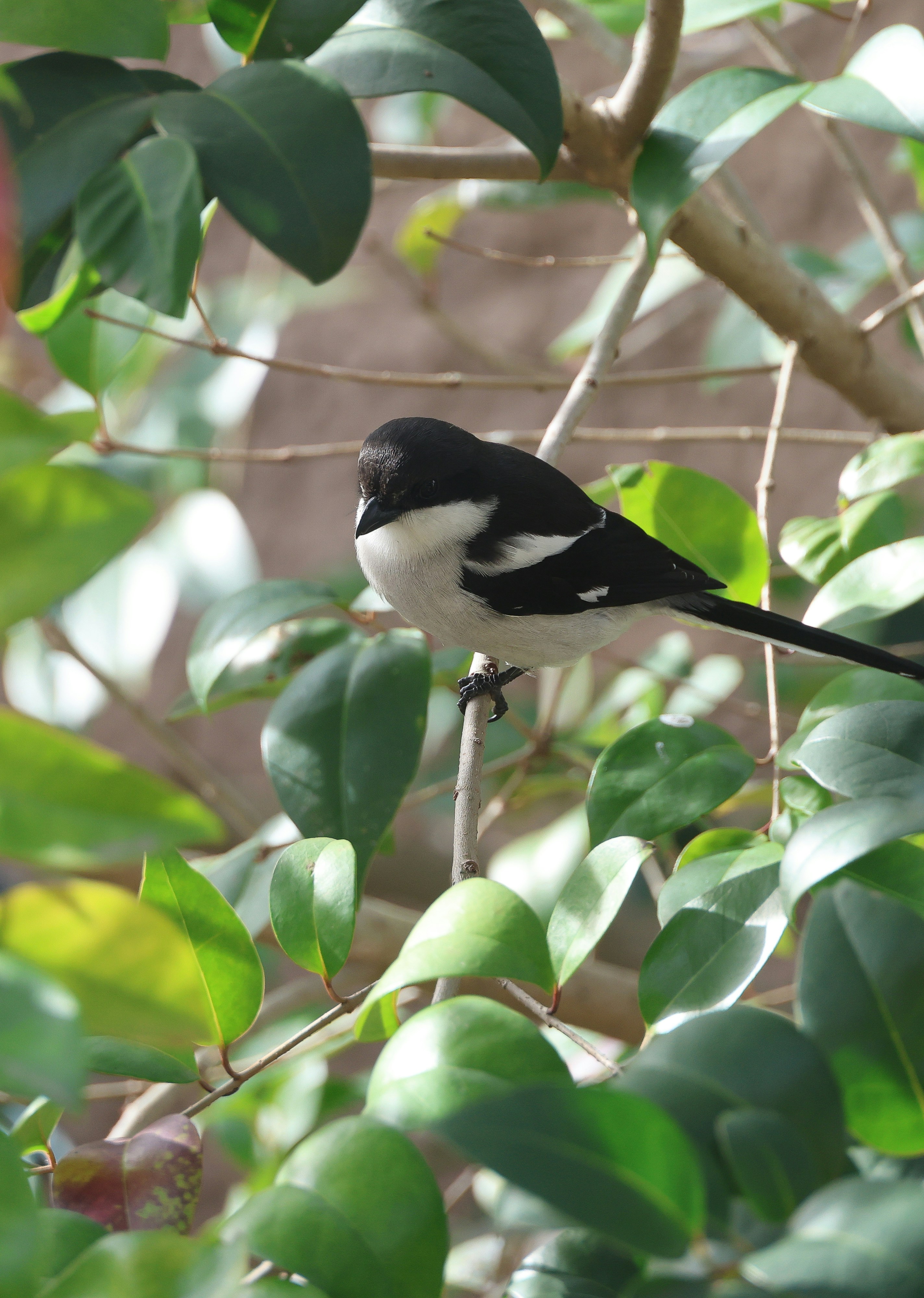 Photo by kathrineheigan