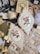 A collection of vintage sewing and crafting items is arranged on a surface, including two framed floral embroidery pieces, antique books, scissors, spools of pink thread, sheet music, and lace. The embroidery features delicate pink roses with green leaves, housed in ornate, off-white frames. The overall aesthetic combines elements of vintage charm and artistic craftsmanship.