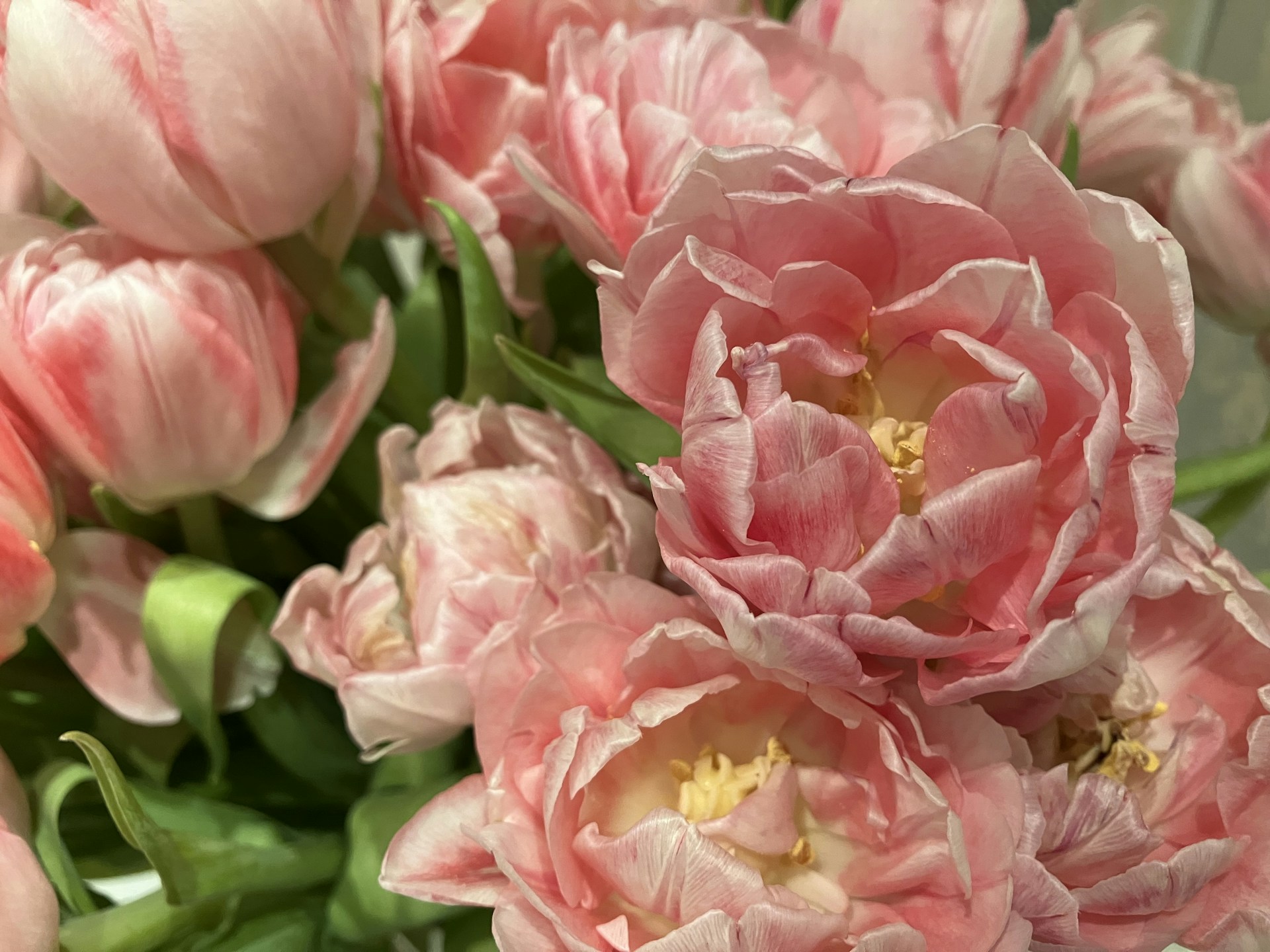 A close-up of delicate tulips and peonies intertwined with lush greenery, showcasing the rich variety available at Gulf Bloom's online store.