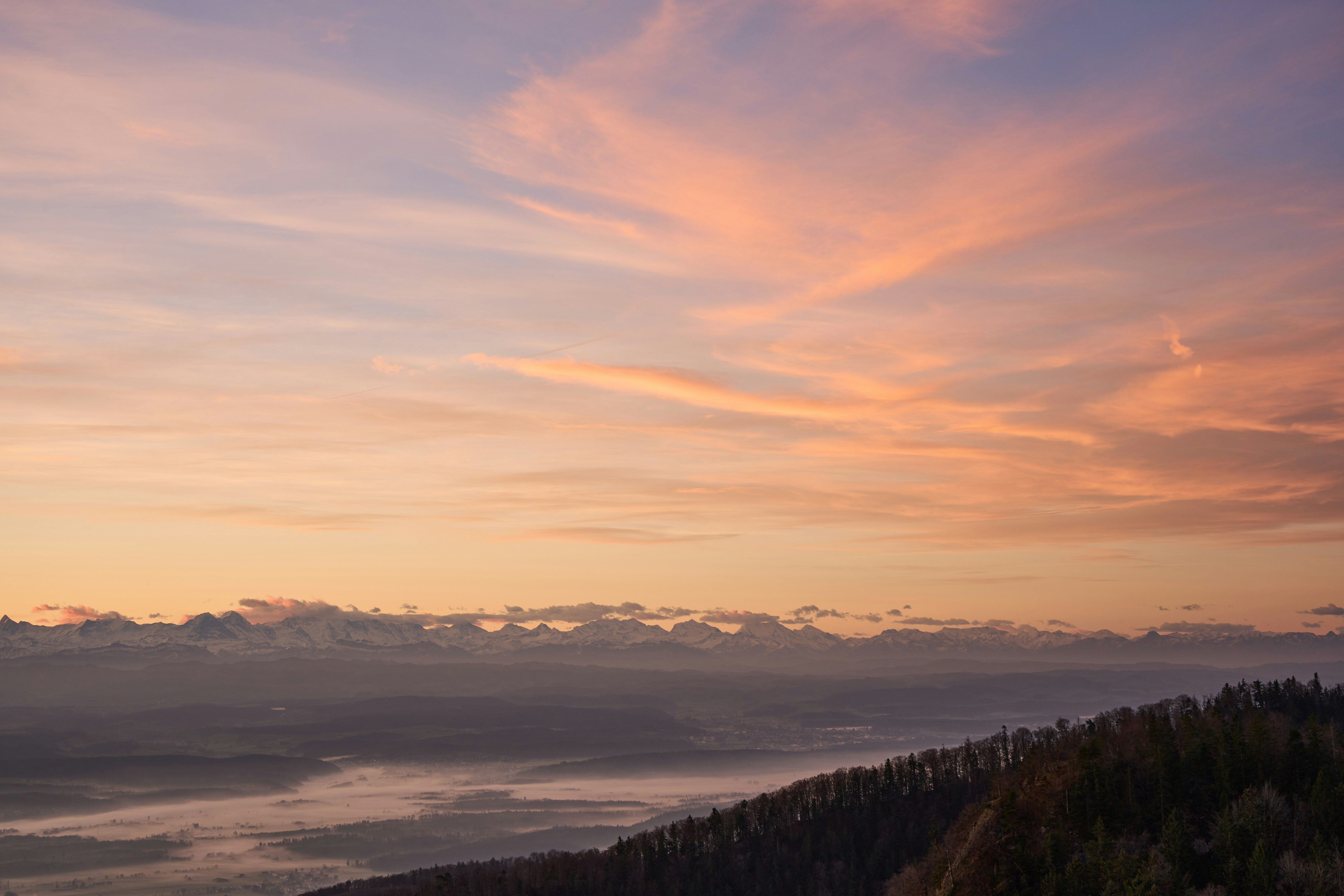 Photo by wolfgang_hasselmann