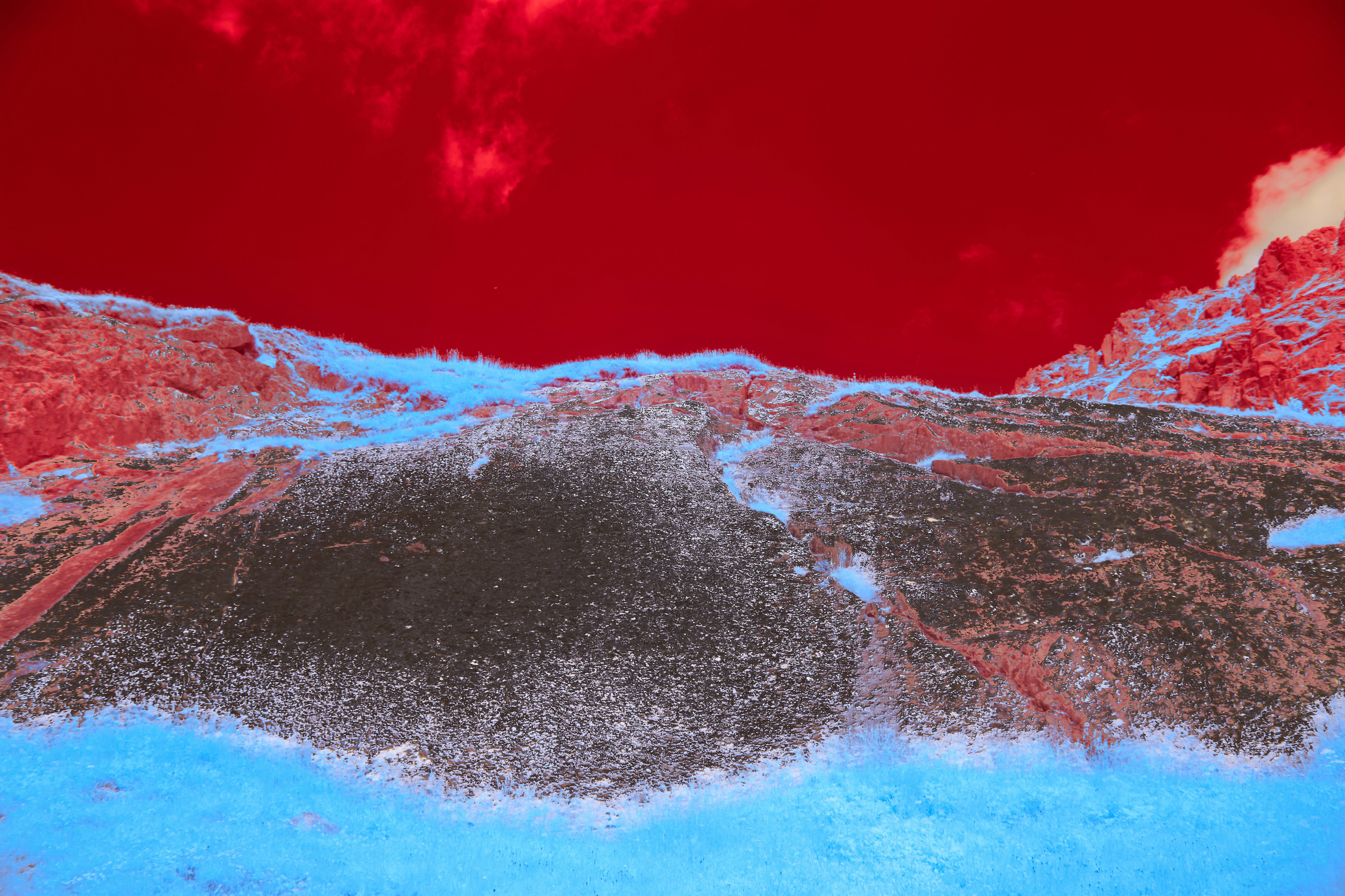 Photo by wolfgang_hasselmann