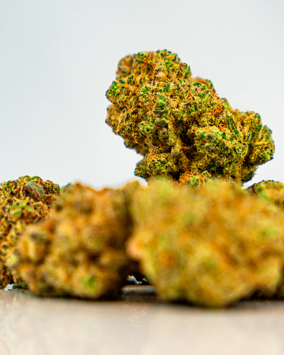 Close-up view of three marijuana buds with unique colors and textures displayed prominently