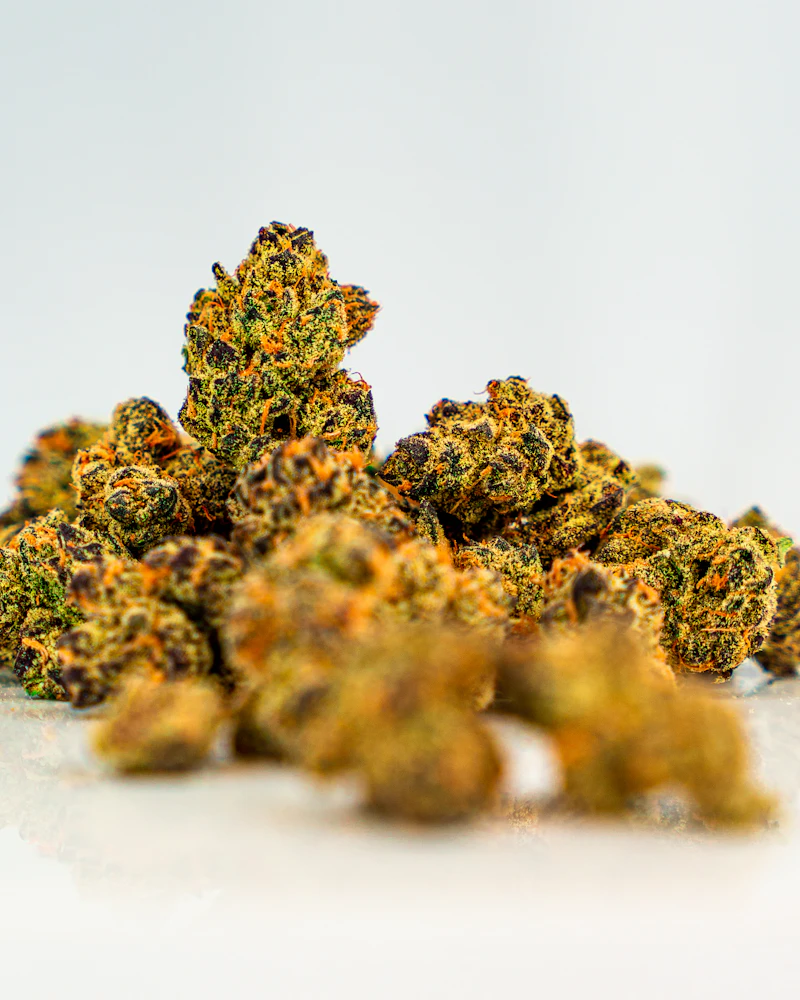 Torrey Holistics