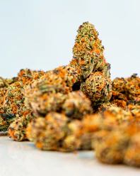 A diverse panel of judges sampling and evaluating different sativa strains at an awards event.