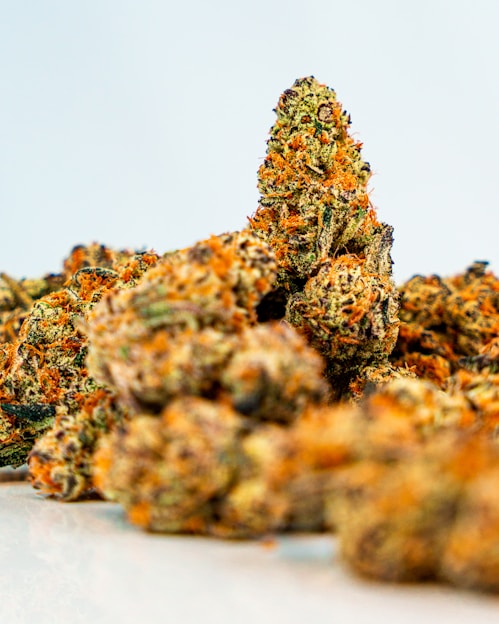 A close-up view of several cannabis buds featuring a mix of green and orange hues. The texture appears dense and covered with trichomes, suggesting a high level of THC.