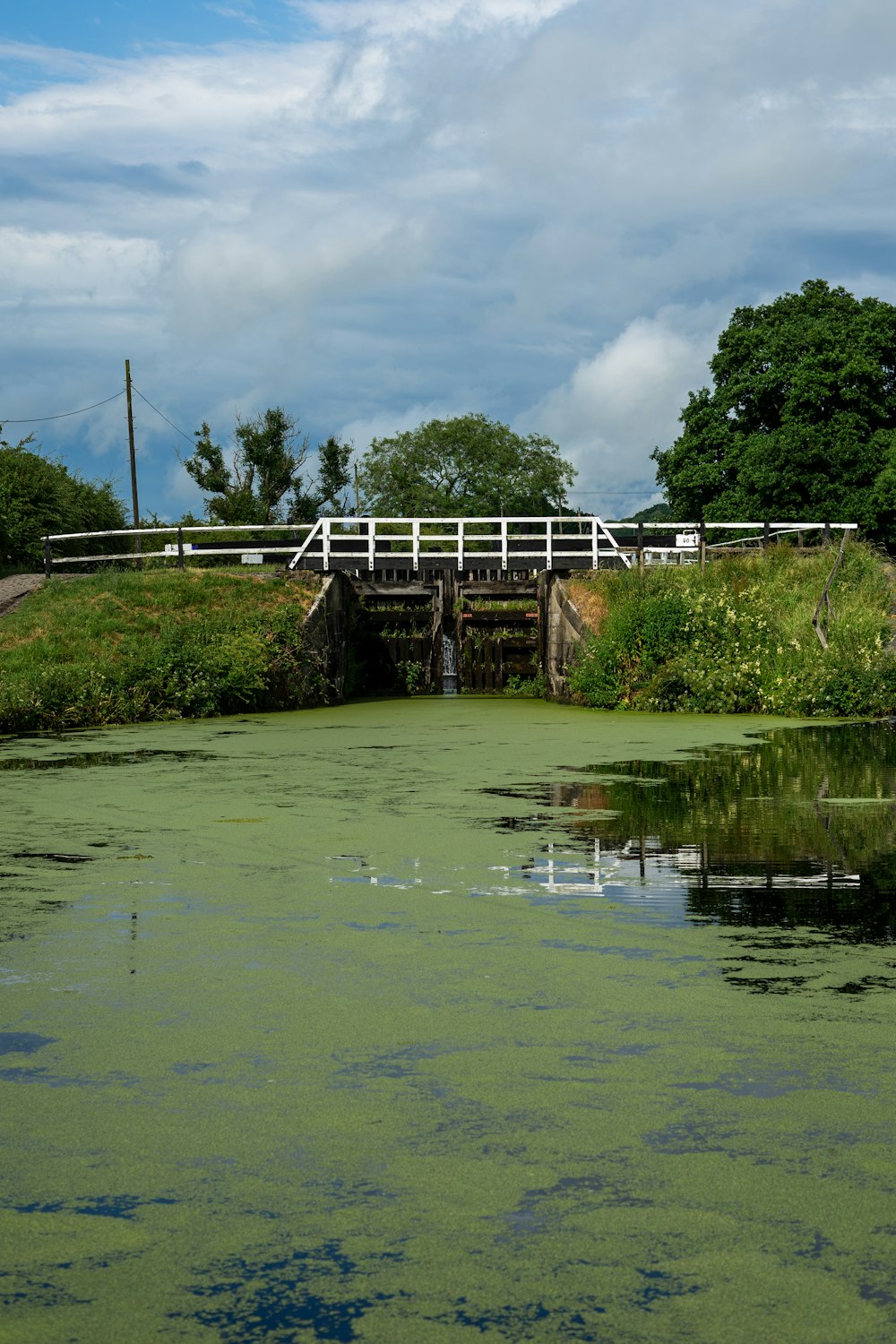 a body of water with a bridge over it