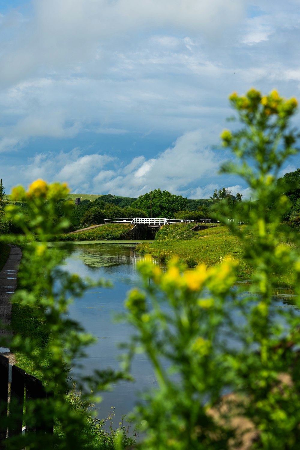 a train traveling over a bridge over a river