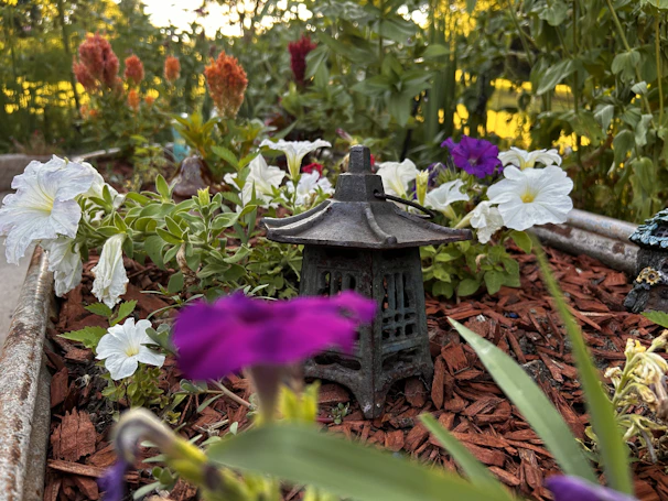 A vibrant garden corner with colorful flowers and a hanging lantern capturing golden hour glow.