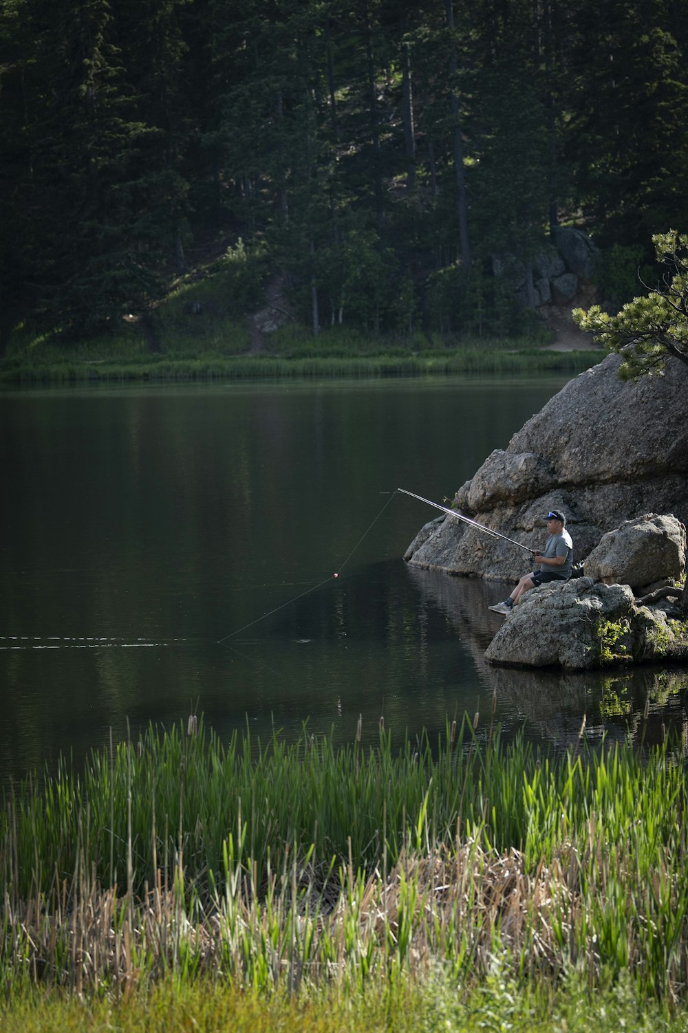 a man fishing on a lake surrounded by tall grass