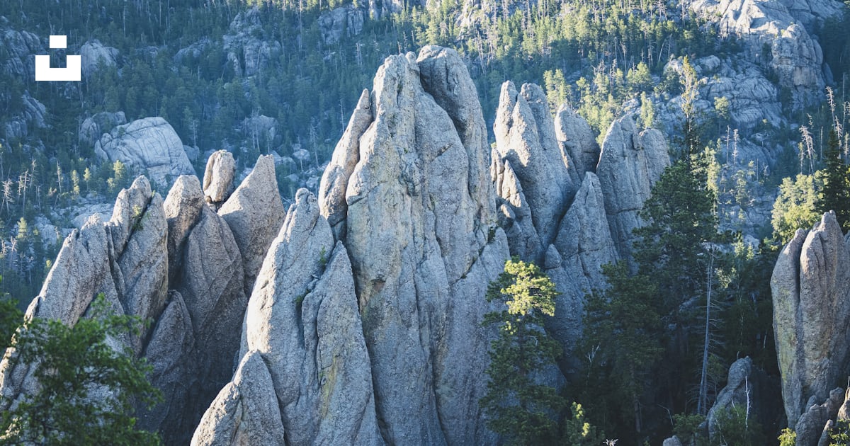 Un groupe de gros rochers au milieu d’une forêt photo – Image gratuite ...