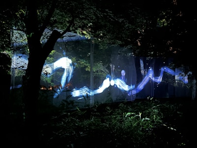 A dark forest setting illuminated by a wave-like, flowing light installation in blue and white tones. Trees with dense foliage create a natural frame, while the illuminated path adds a mystical and technological ambiance.