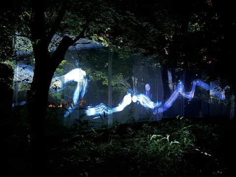 Wide shot of a nature-inspired installation blending into a forest setting.