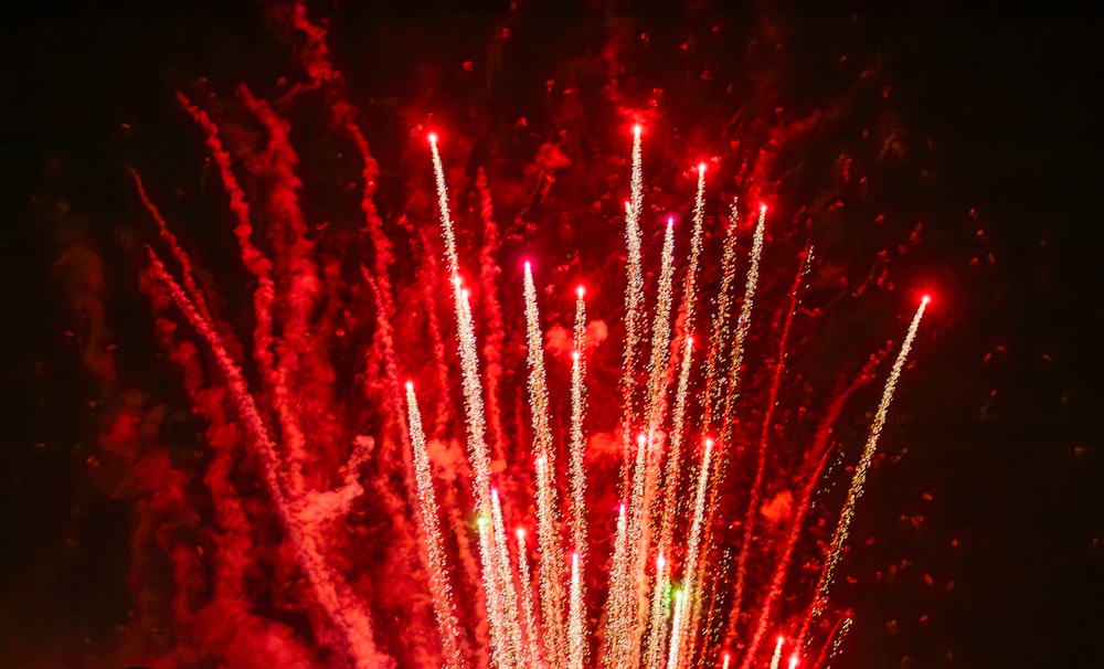 a bunch of fireworks are lit up in the night sky