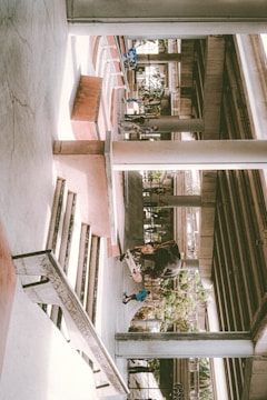 An urban skate park under a highway overpass featuring concrete ramps and stairs. Several people are skating or observing, with greenery visible in the background. The architecture consists of large pillars supporting the structure above.