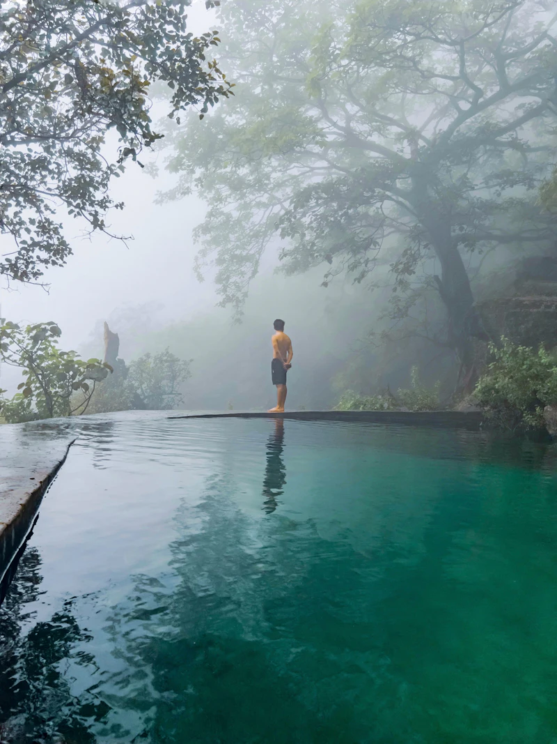 A spring pool among the trees