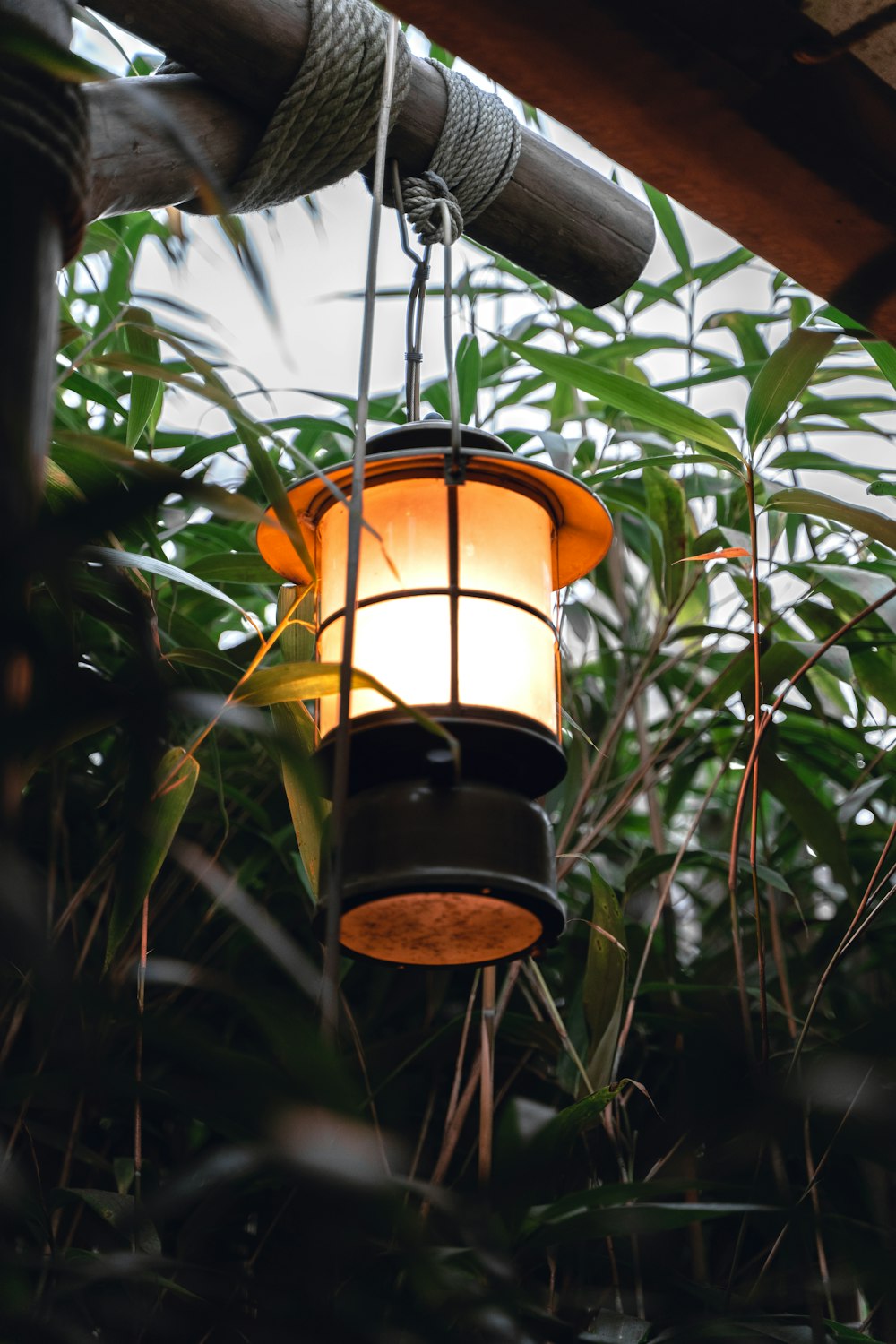 a lamp hanging from a ceiling in a jungle