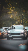 A silver SUV is driving on a two-lane road with several cars in close proximity, suggesting heavy traffic. The scene is set in a wooded area with dense green trees lining the road, and the lighting gives a warm, natural ambiance.