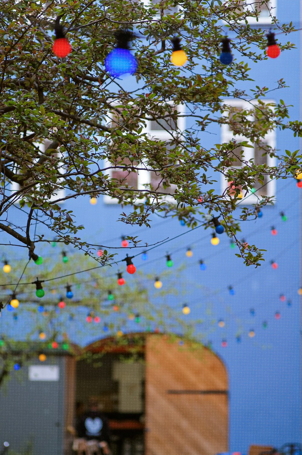 a tree with a bunch of lights hanging from it