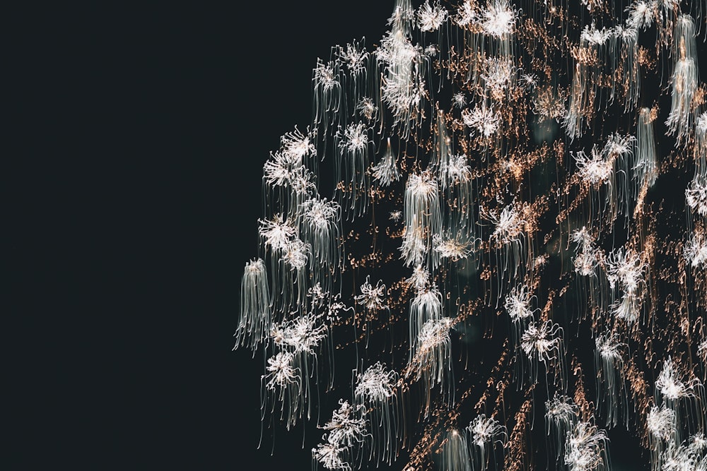 a bunch of fireworks are lit up in the night sky