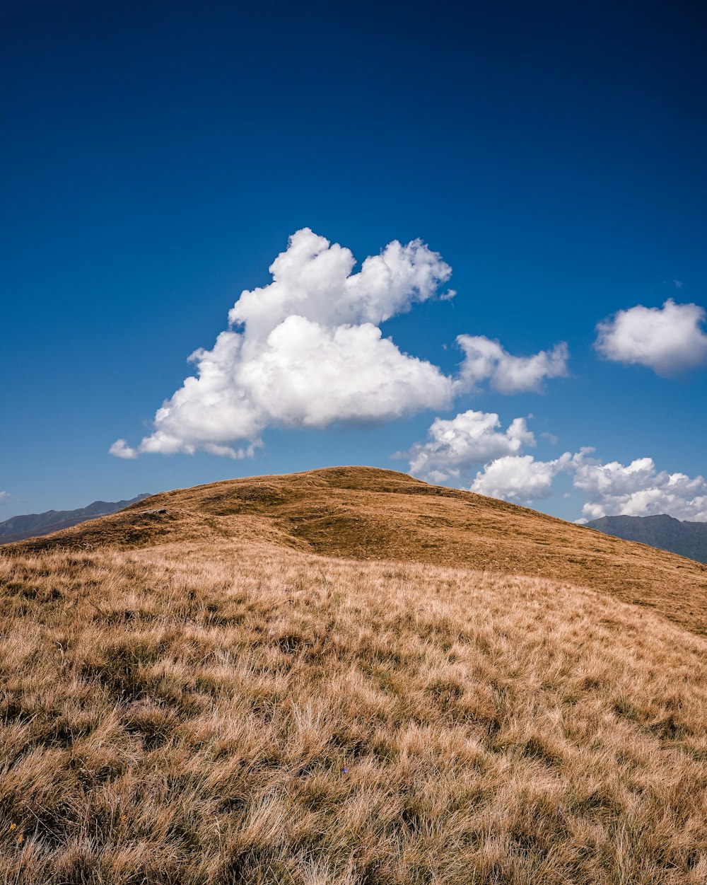 a grassy hill with a few clouds in the sky