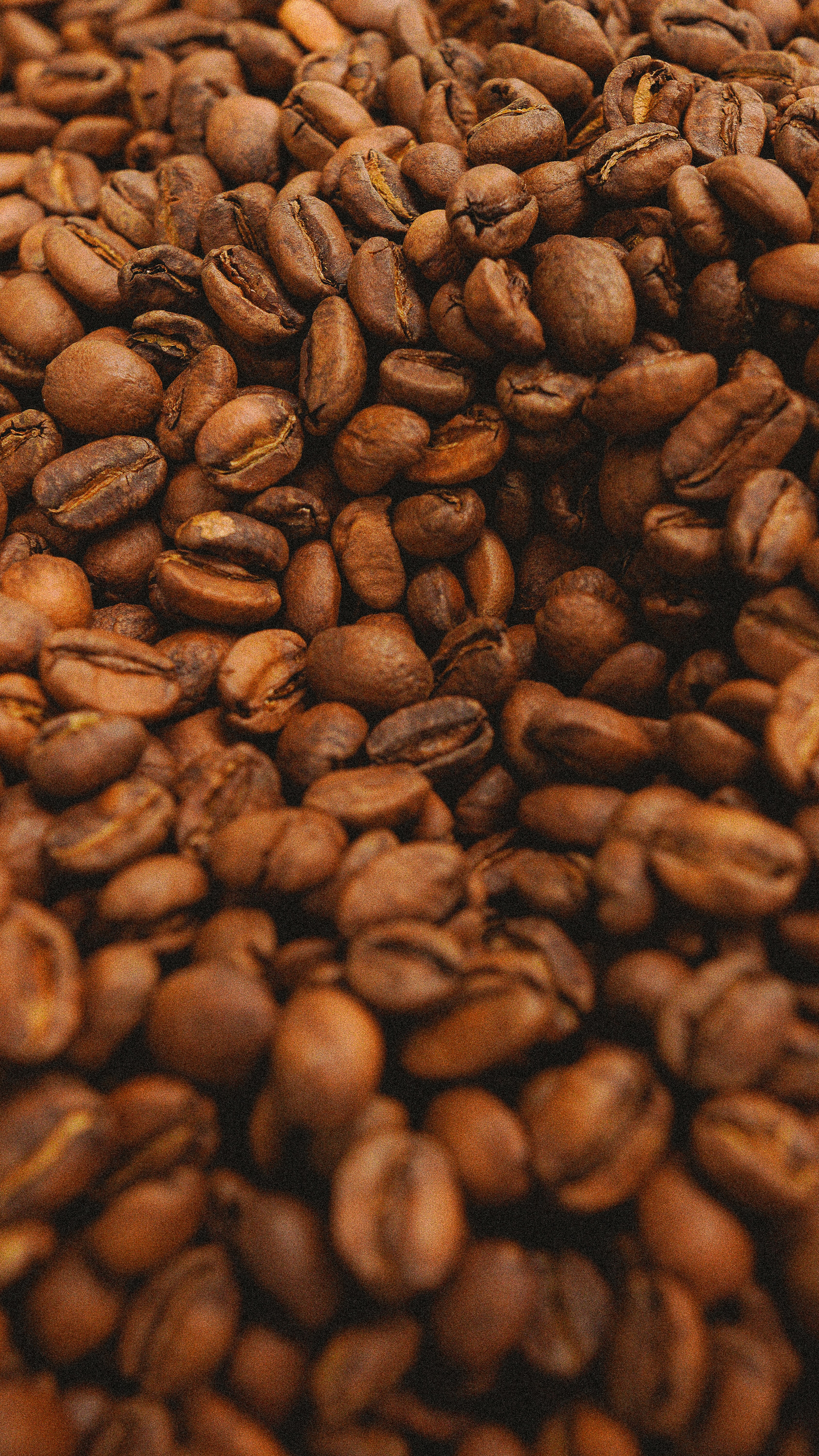 Photo by notsocreative