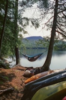 A peaceful lakeside setting with a person relaxing in a hammock strung between two trees. The surrounding area is forested, with coniferous trees, and the water is calm, reflecting the green landscape. Canoes and camping gear are present nearby, adding to the outdoor, adventurous ambiance.