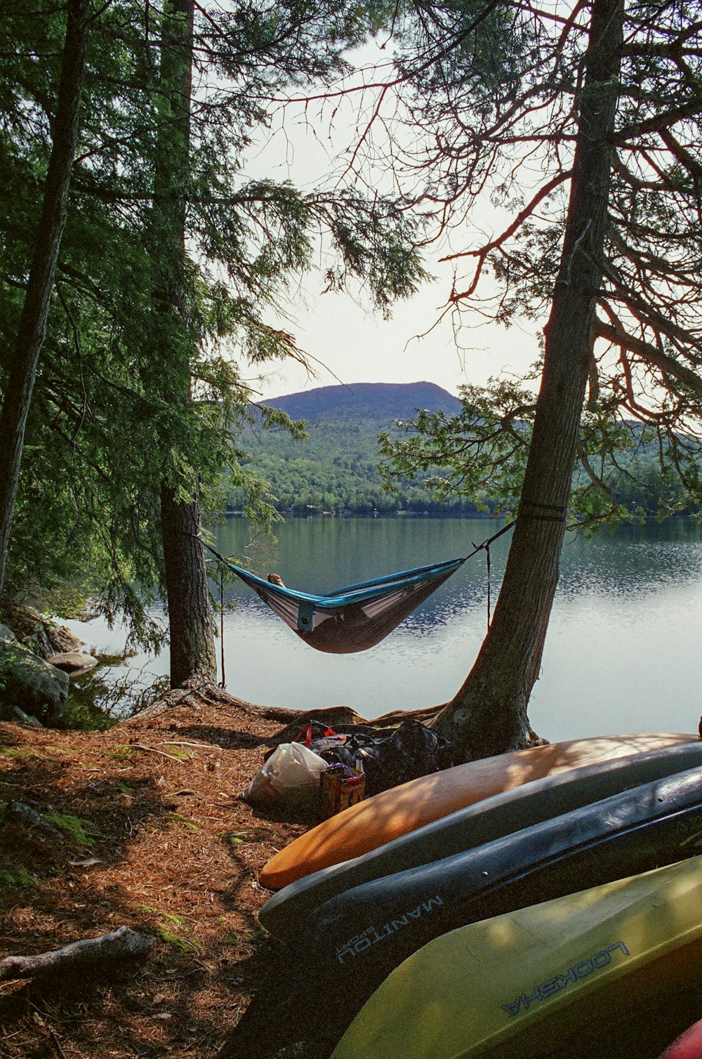 a hammock hanging from a tree next to a body of water