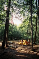 A campsite nestled in a dense forest with tall trees casting shadows on the ground. An orange tent is set up, and two people are near it, one standing and the other bending down. Various camping items like bottles, bags, and a small table are scattered around on the forest floor. Sunlight filters through the leaves, creating a serene and natural atmosphere.