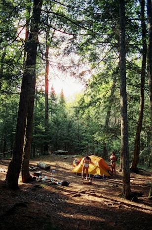 A campsite nestled in a dense forest with tall trees casting shadows on the ground. An orange tent is set up, and two people are near it, one standing and the other bending down. Various camping items like bottles, bags, and a small table are scattered around on the forest floor. Sunlight filters through the leaves, creating a serene and natural atmosphere.