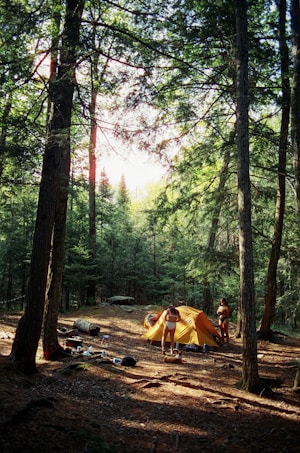 A campsite nestled in a dense forest with tall trees casting shadows on the ground. An orange tent is set up, and two people are near it, one standing and the other bending down. Various camping items like bottles, bags, and a small table are scattered around on the forest floor. Sunlight filters through the leaves, creating a serene and natural atmosphere.