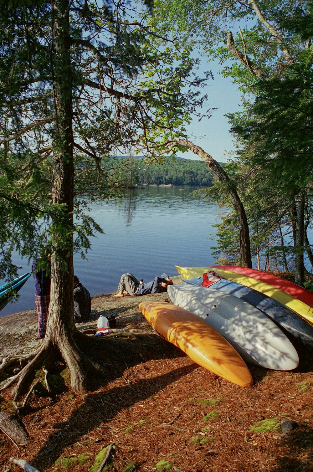 a group of canoes sitting on the shore of a lake