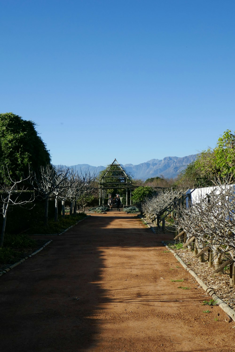 Un camino de tierra con árboles y un mirador en la distancia