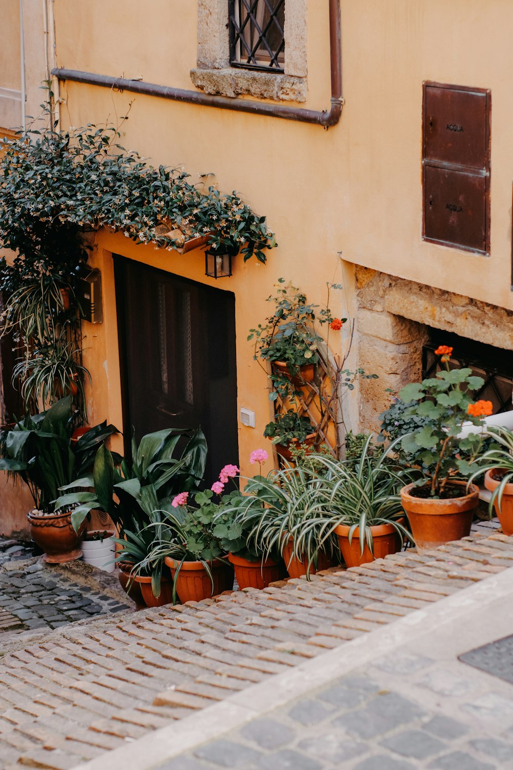 a row of potted plants on the side of a building