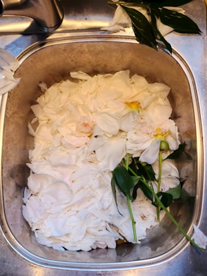 A kitchen sink filled with a large number of white flower petals, possibly roses, along with a few long green leaves. The stainless steel surface of the sink is visible, and the petals are densely packed, covering most of the sink area. Above the sink, part of a chrome faucet is visible.