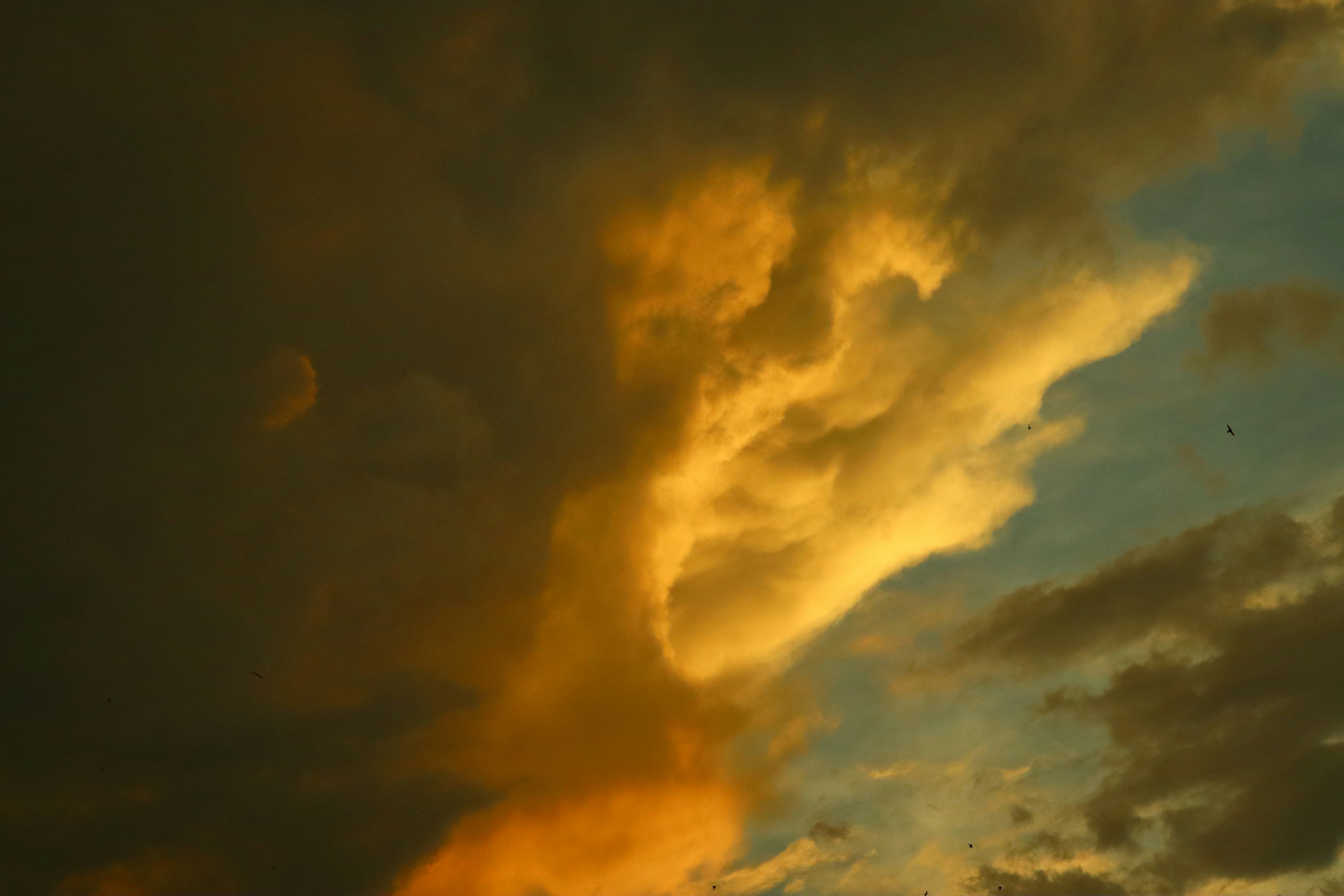 Photo by shivaprasad1819