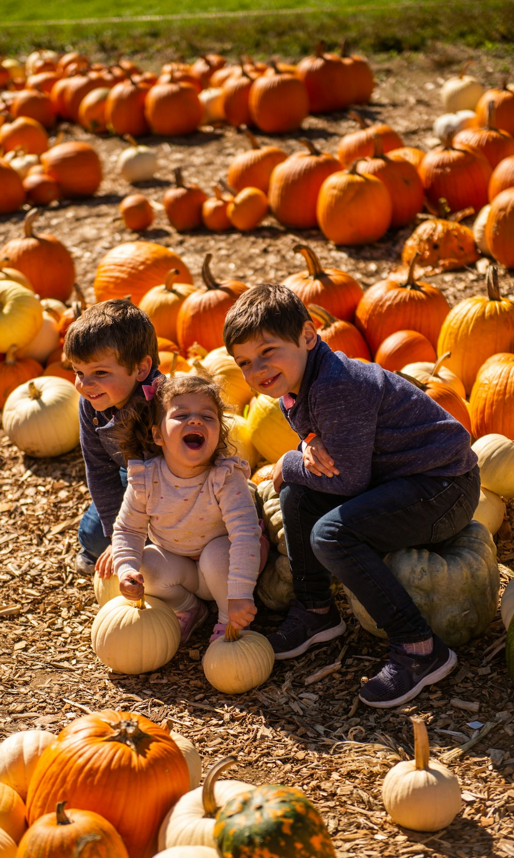a couple of kids sitting on top of a pile of pumpkins