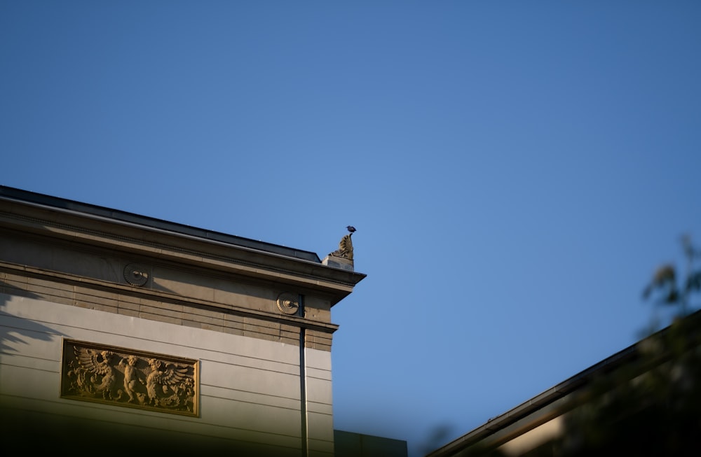 Un pájaro está sentado en la parte superior de un edificio