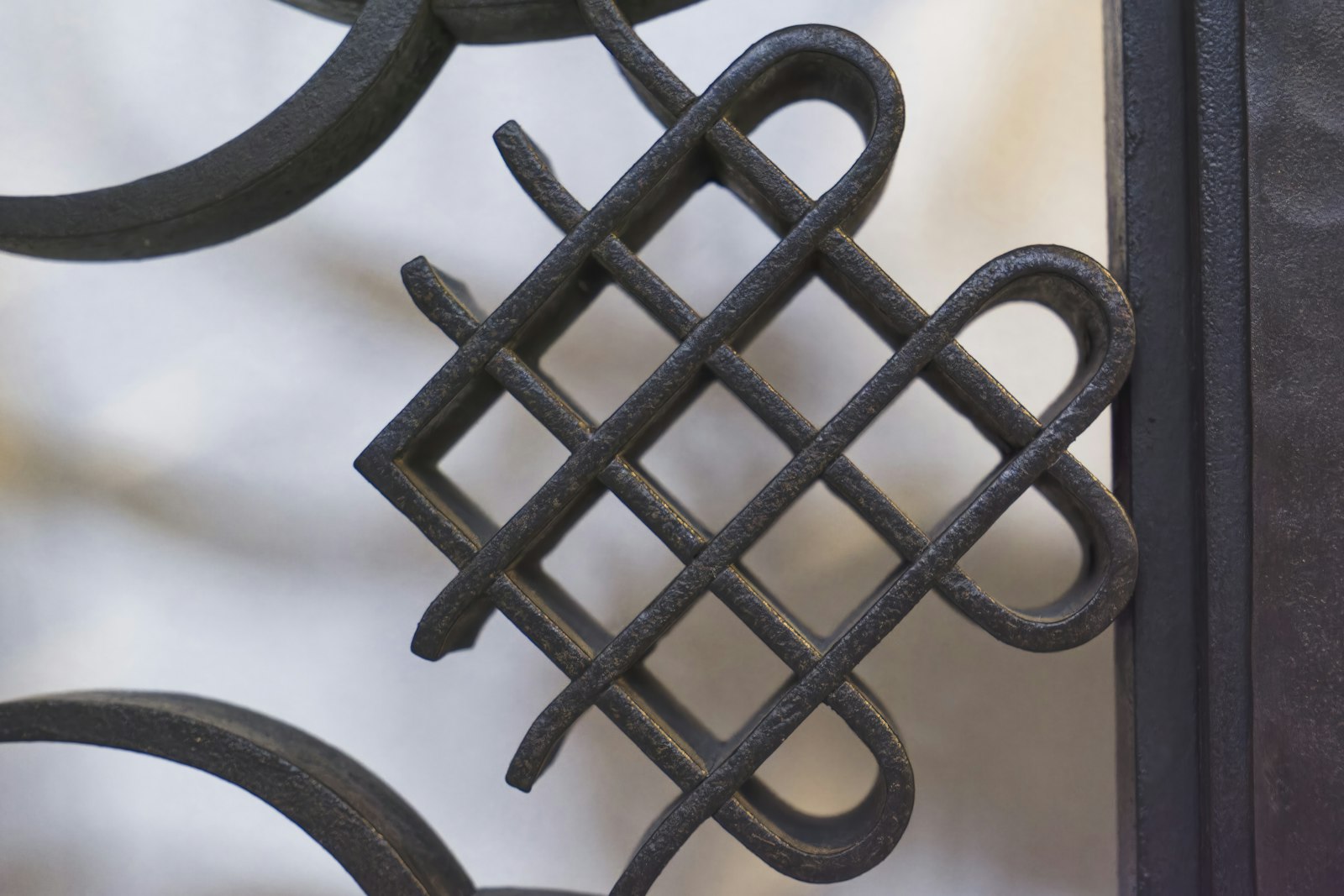 Galvanized chain link fence