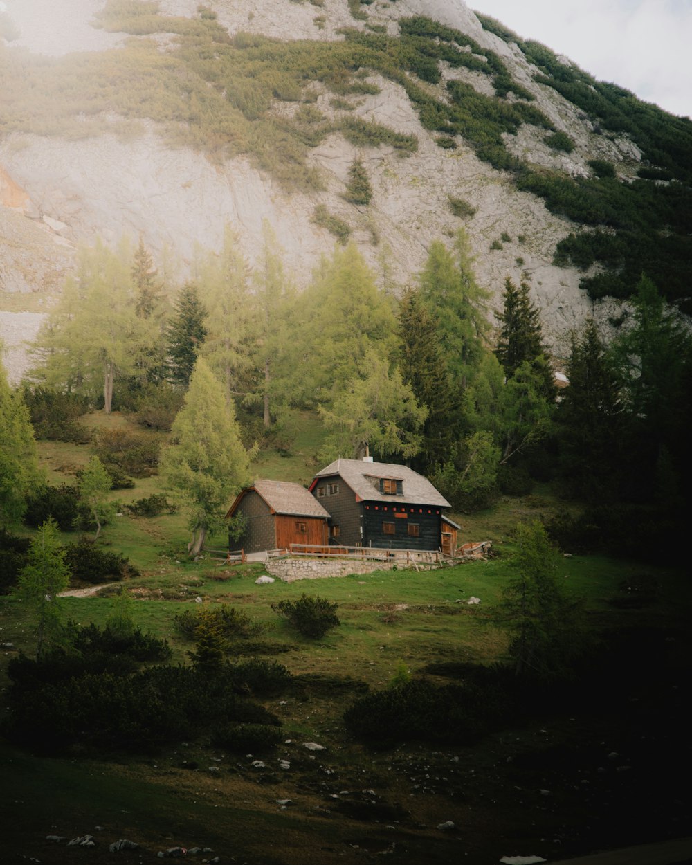 a house in the middle of a field with a mountain in the background