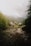A small cluster of wooden huts is nestled in a tranquil valley surrounded by lush green pine trees and distant mountains. The foreground features a rocky, grassy path leading down to the settlement, with overcast skies adding a moody backdrop.
