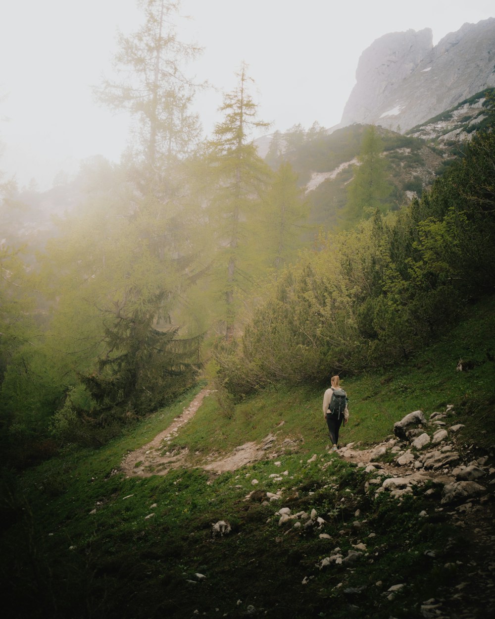 a man walking up a trail in the woods