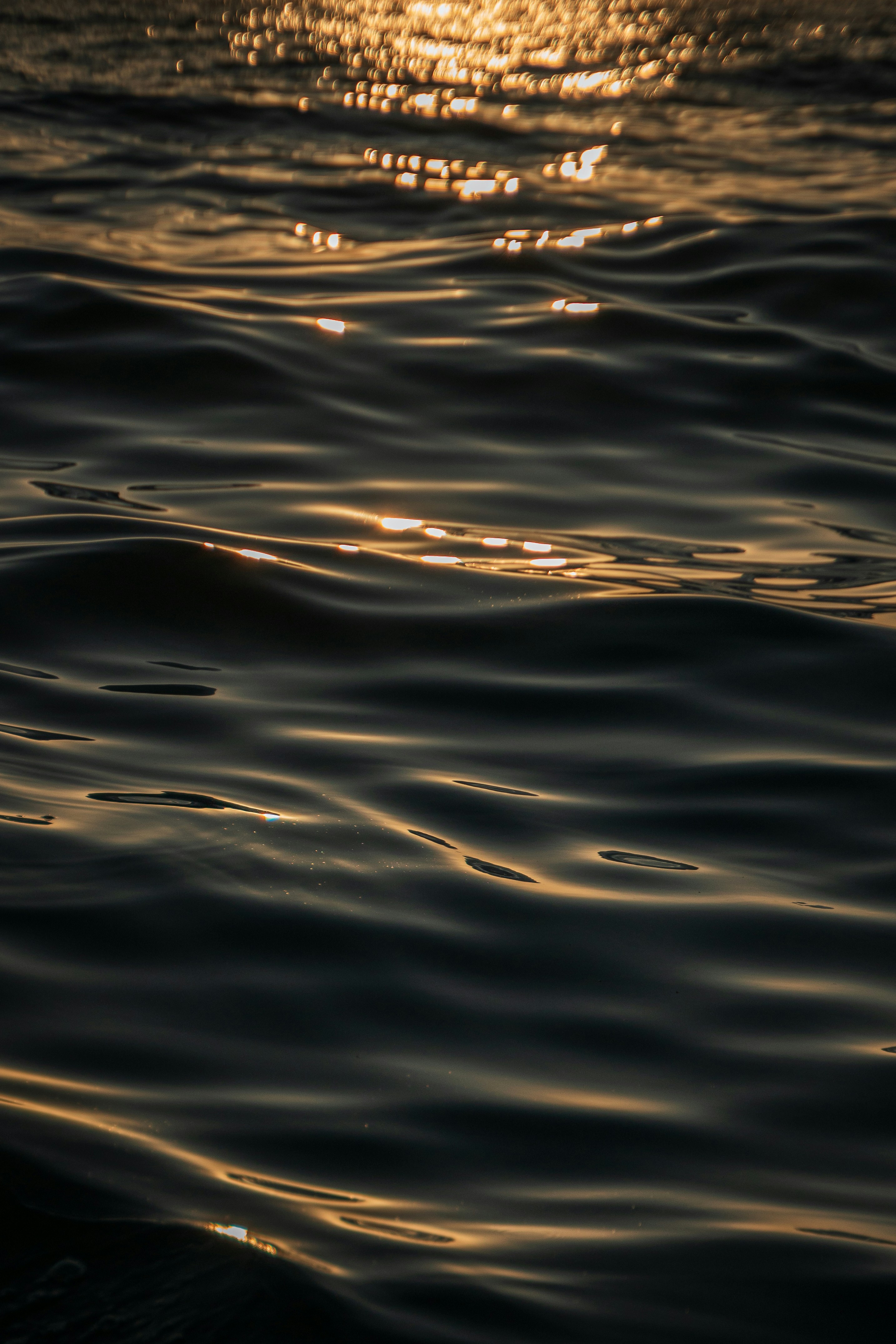 Photo by nicknight