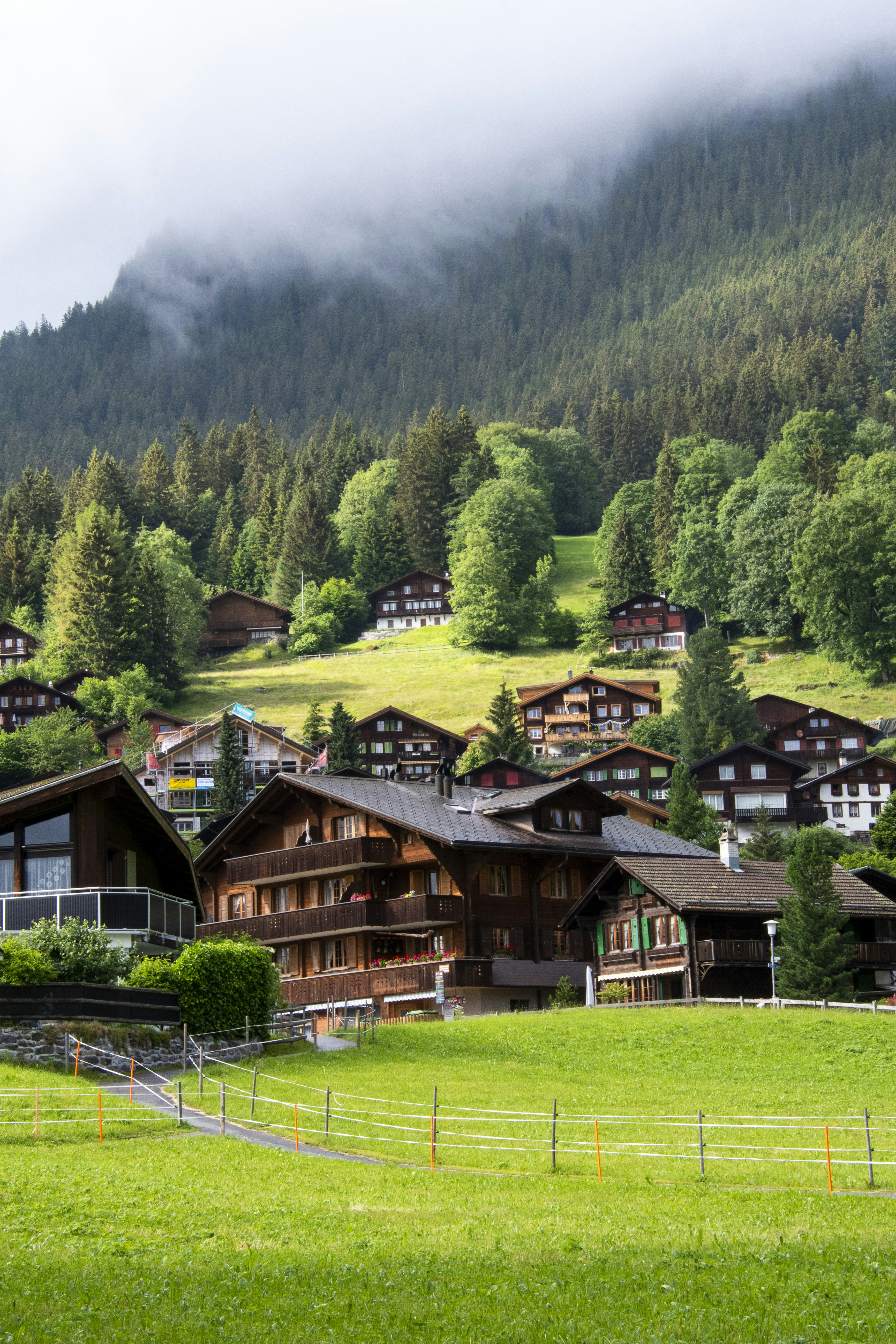 Photo by gabrielrana