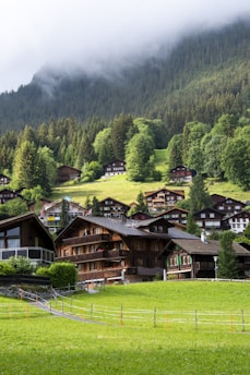 A picturesque mountain village with wooden chalets nestled on a green hillside. Dense forests and tall pine trees rise in the background, partially shrouded by mist and low-hanging clouds. The foreground features a well-maintained grassy area and a few fences marking paths.