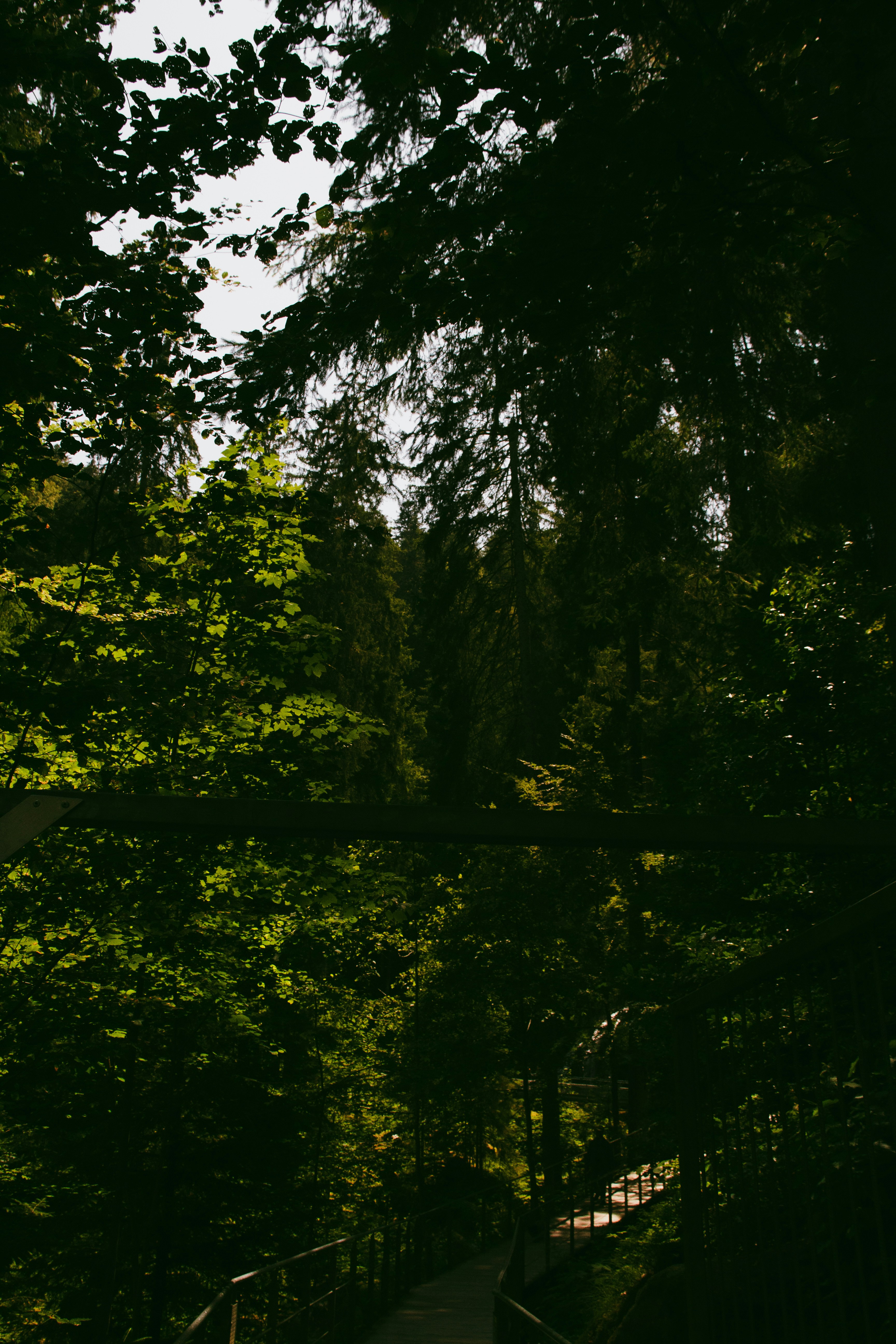 Photo by charlieh_viewfinder