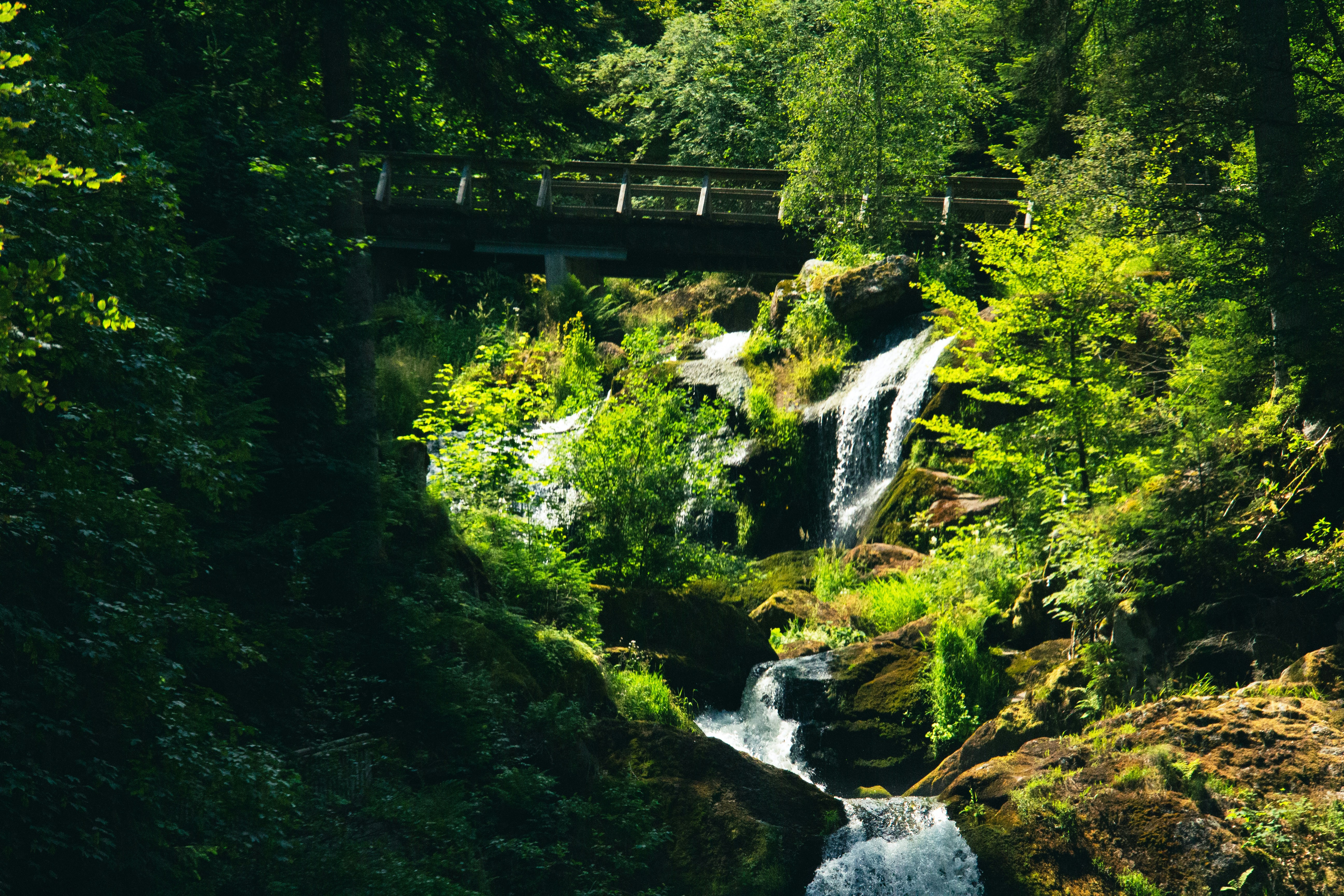 Photo by charlieh_viewfinder