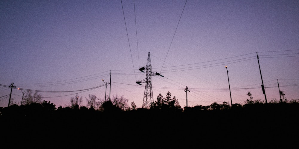 a purple sky with lots of power lines and telephone poles