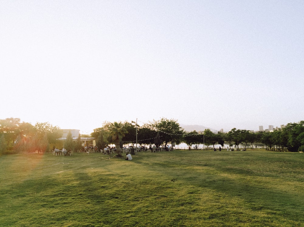 a group of people standing on top of a lush green field