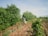 A person is tending a garden or farm filled with lush green trees and plants. The landscape features rows of planted crops, with brown soil visible between the rows. The sky above is clear, contributing to a serene and peaceful atmosphere.